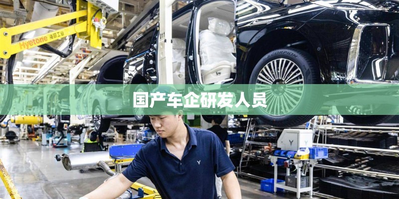 国产车企研发人员