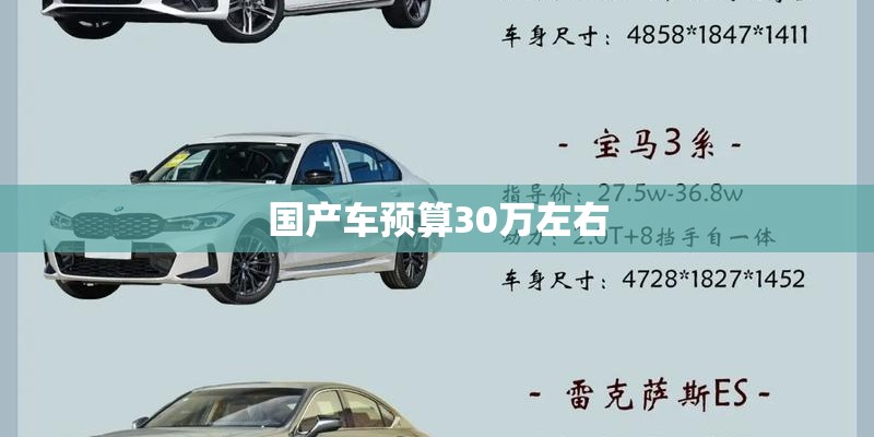 国产车预算30万左右