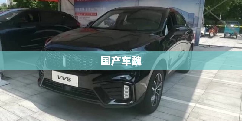 国产车魏