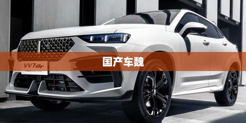 国产车魏