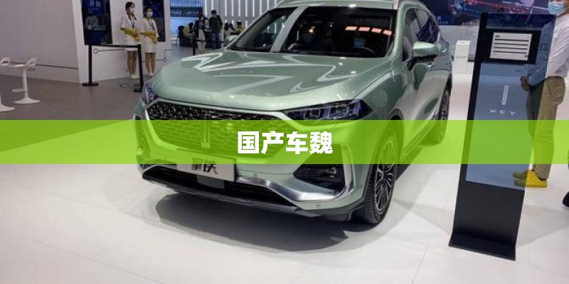 国产车魏