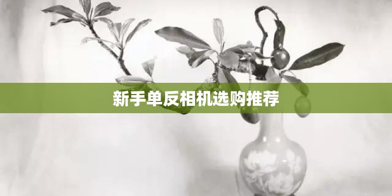 新手单反相机选购推荐