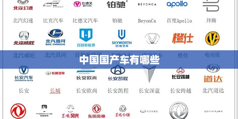 中国国产车有哪些