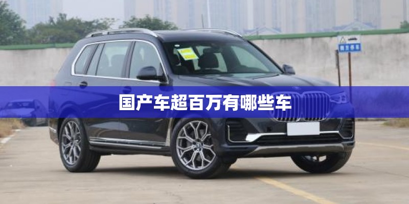 国产车超百万有哪些车