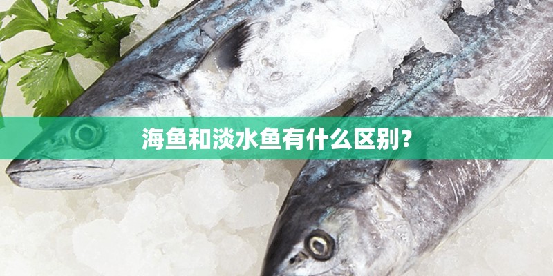海鱼和淡水鱼有什么区别？