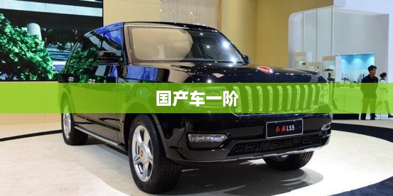 国产车一阶