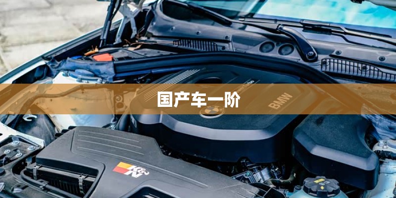 国产车一阶