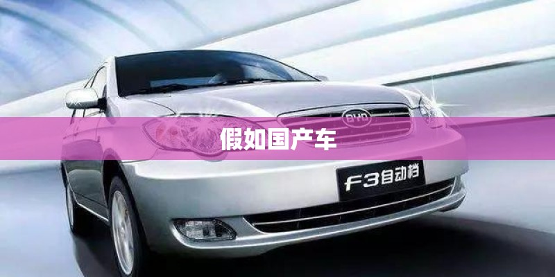 假如国产车