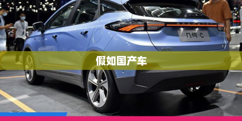 假如国产车
