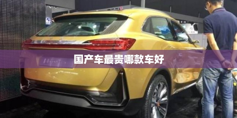 国产车最贵哪款车好