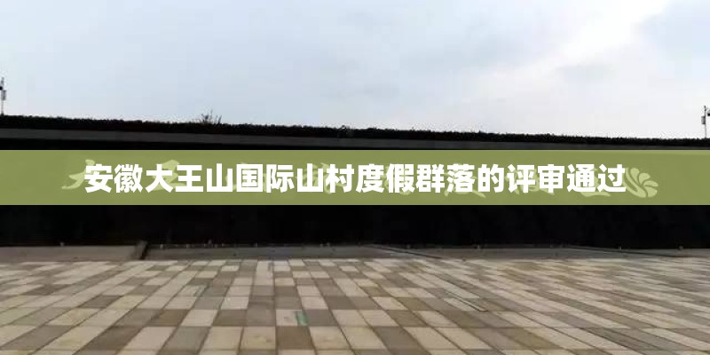 安徽大王山国际山村度假群落的评审通过