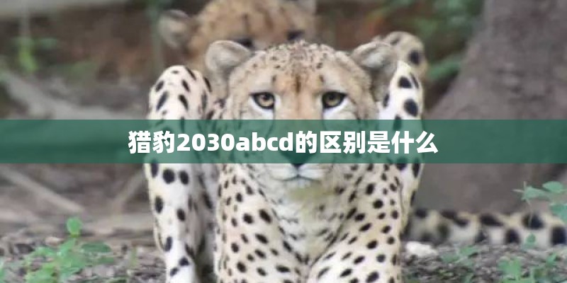 猎豹2030abcd的区别是什么