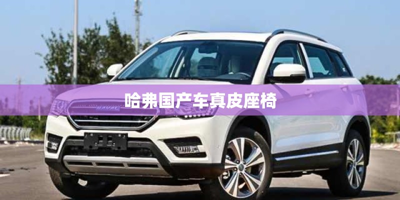哈弗国产车真皮座椅