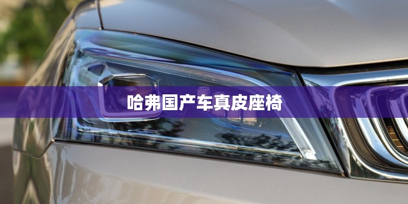 哈弗国产车真皮座椅