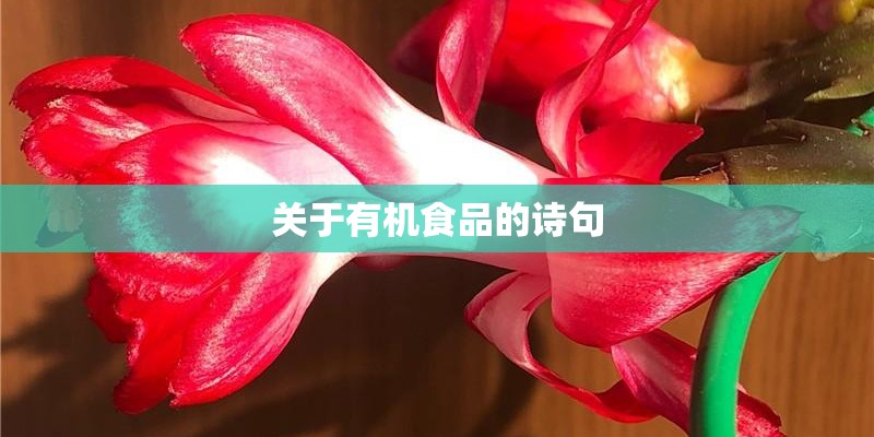 关于有机食品的诗句