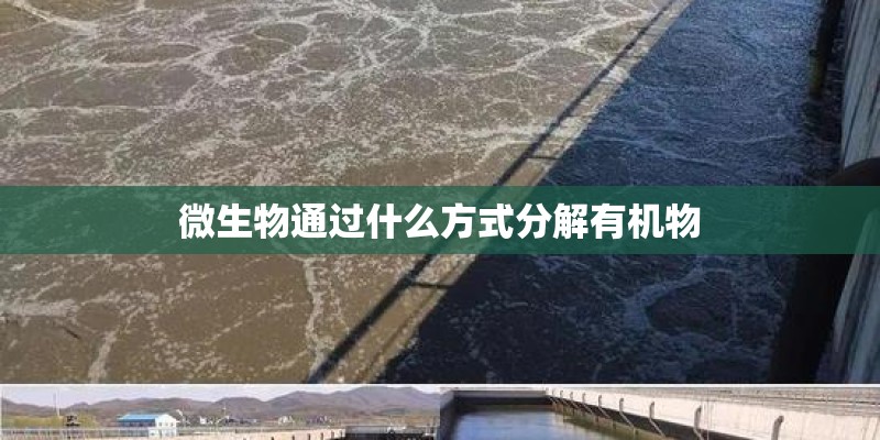 微生物通过什么方式分解有机物