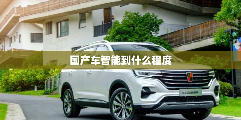 国产车智能到什么程度