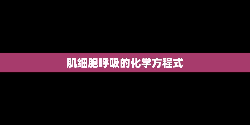 肌细胞呼吸的化学方程式