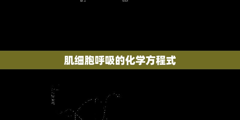 肌细胞呼吸的化学方程式