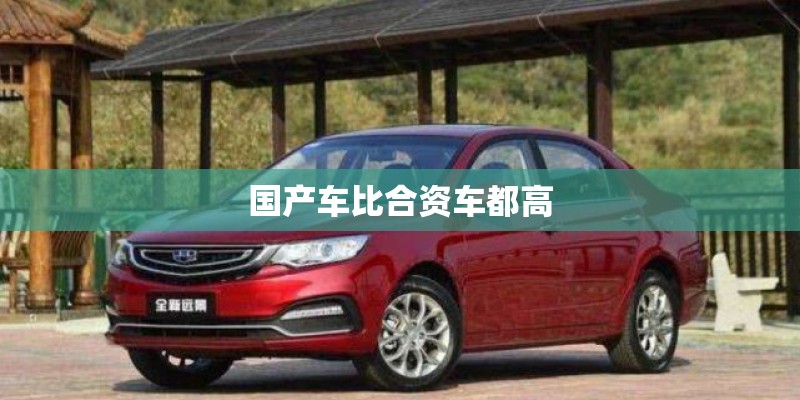 国产车比合资车都高