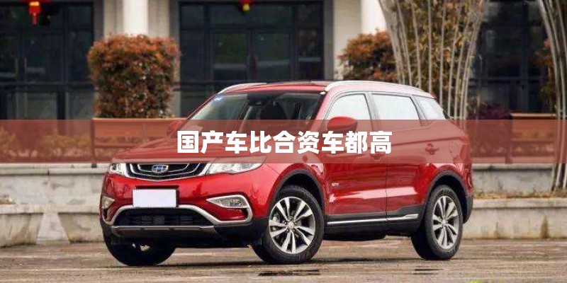 国产车比合资车都高