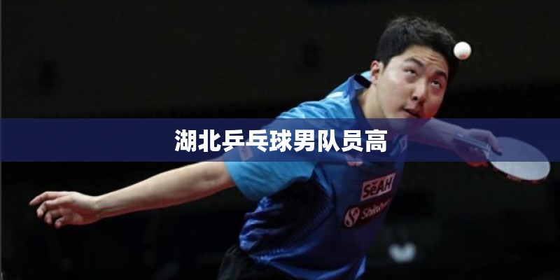 湖北乒乓球男队员高