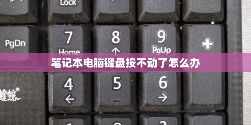 笔记本电脑键盘按不动了怎么办