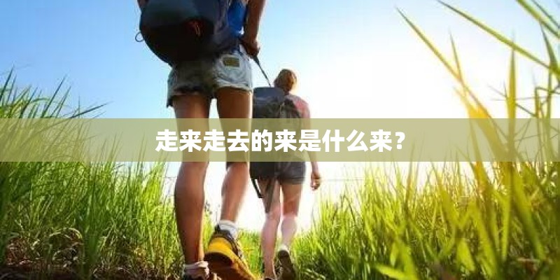 走来走去的来是什么来？
