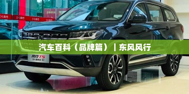 汽车百科（品牌篇）｜东风风行