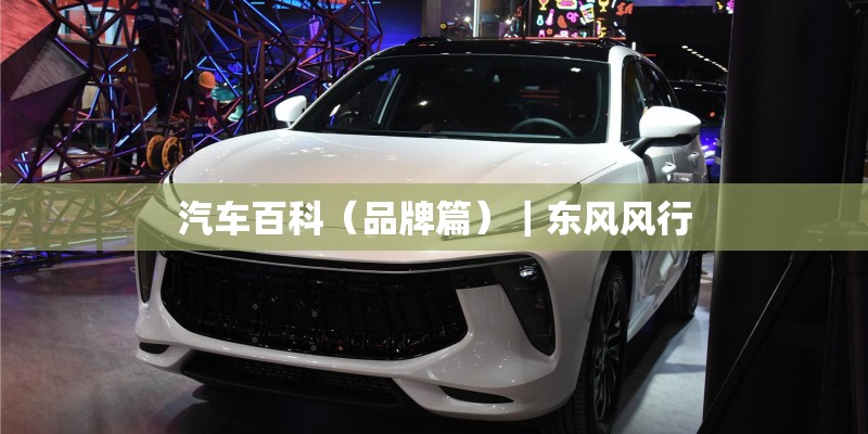 汽车百科（品牌篇）｜东风风行