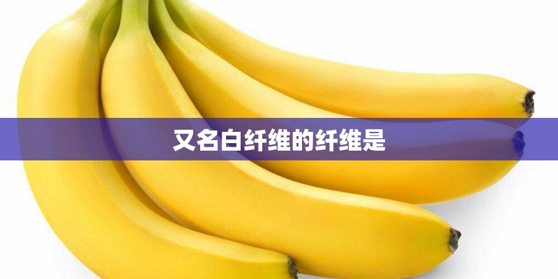 又名白纤维的纤维是
