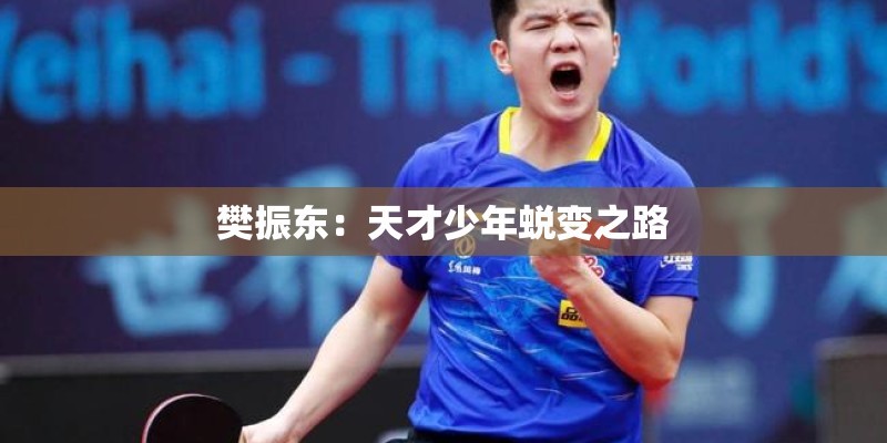 樊振东：天才少年蜕变之路