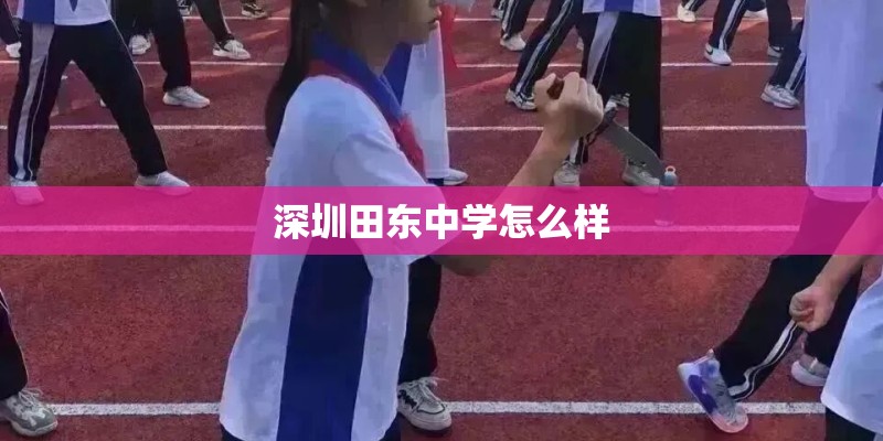 深圳田东中学怎么样
