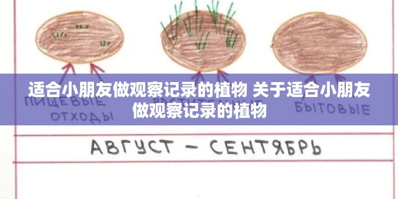 适合小朋友做观察记录的植物 关于适合小朋友做观察记录的植物