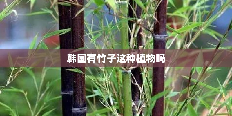 别克英朗1.5自动挡多少钱