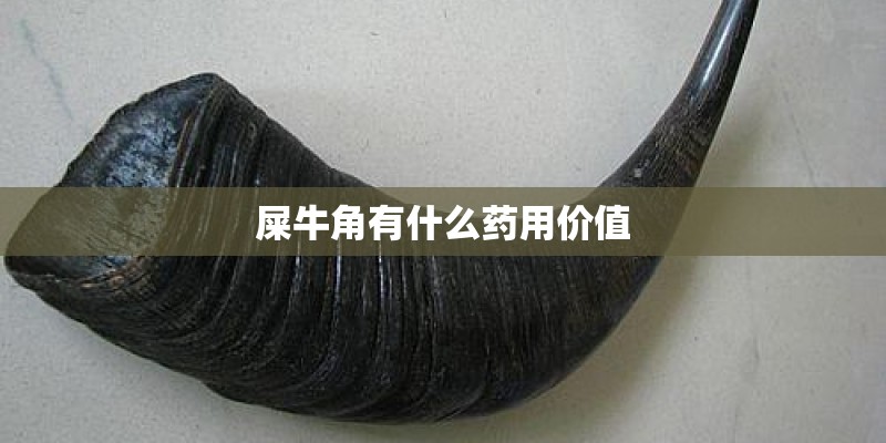 屎牛角有什么药用价值