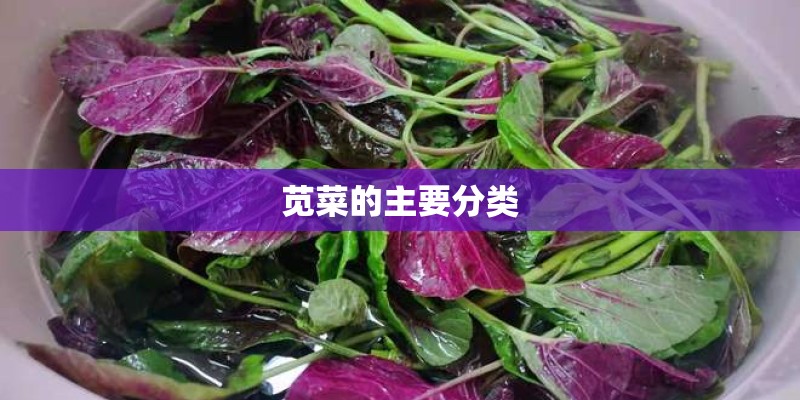苋菜的主要分类