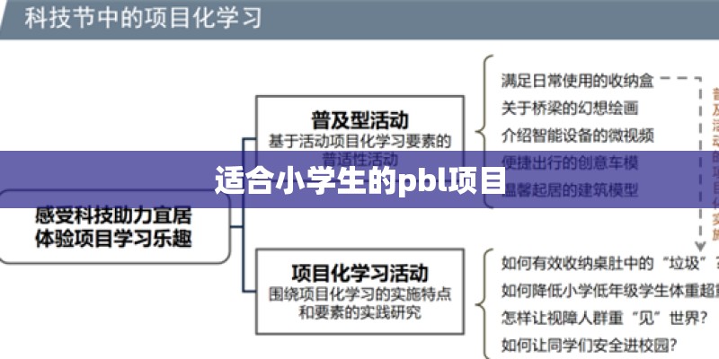 适合小学生的pbl项目