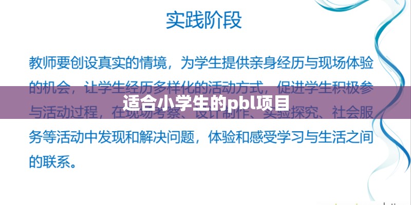 适合小学生的pbl项目