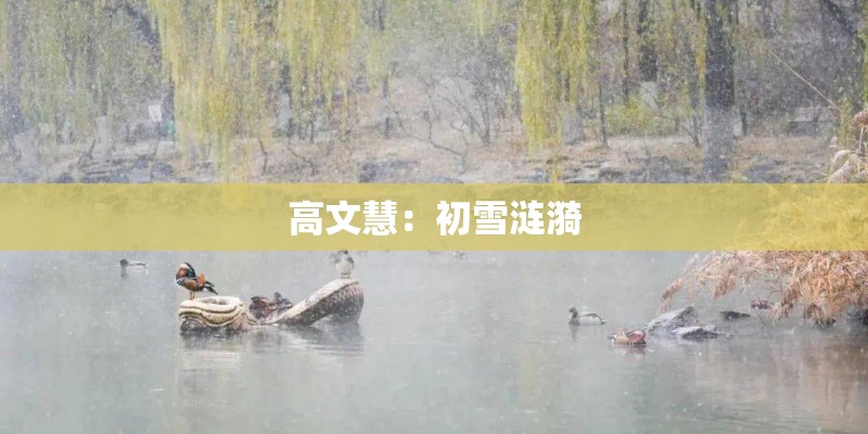 高文慧：初雪涟漪