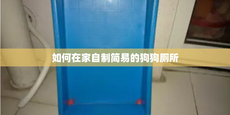 如何在家自制简易的狗狗厕所