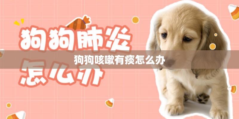 狗狗咳嗽有痰怎么办