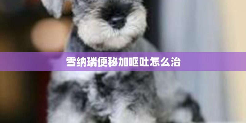 雪纳瑞便秘加呕吐怎么治