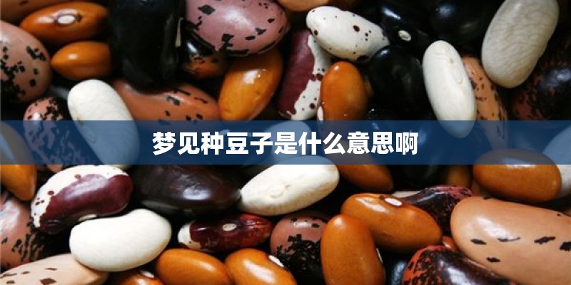 梦见种豆子是什么意思啊