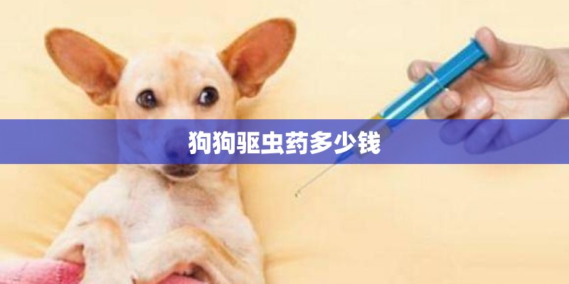 狗狗驱虫药多少钱