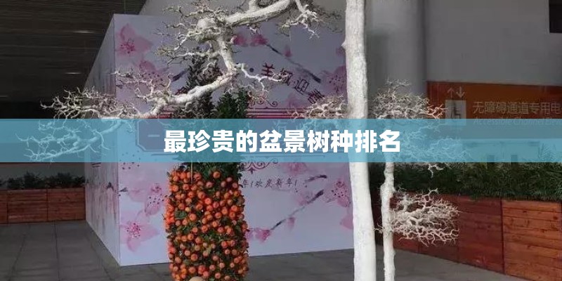 最珍贵的盆景树种排名