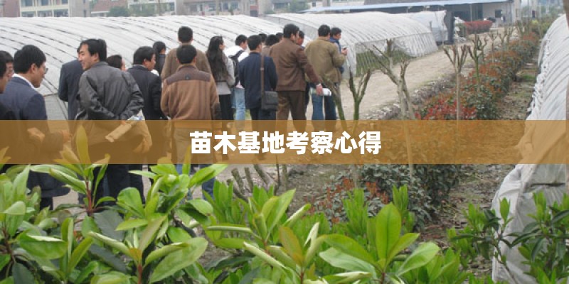 苗木基地考察心得