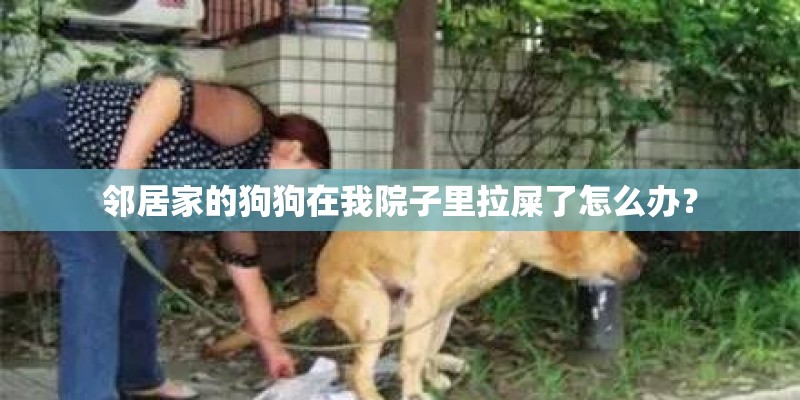 邻居家的狗狗在我院子里拉屎了怎么办？