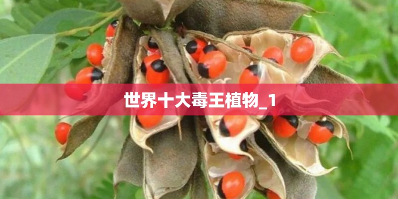 世界十大毒王植物_1