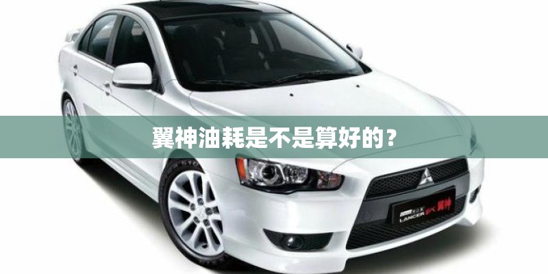 翼神油耗是不是算好的？